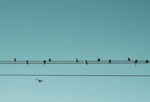 Conflict of interest