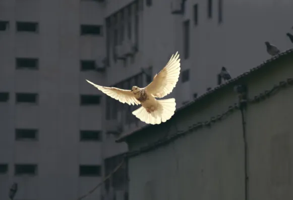 Human Rights Statment