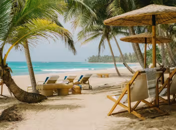 Four Seasons Tropicalia