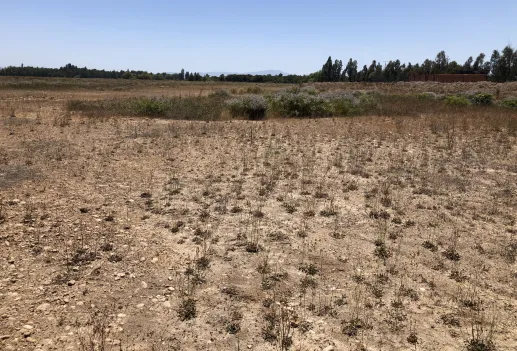 CIFI to finance a portfolio of solar power plants in Chile