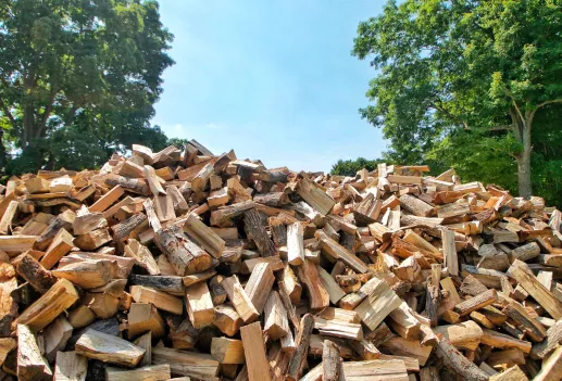 CIFI structures loan of up to US$ 32.5MM for wood pellet mill in Chile