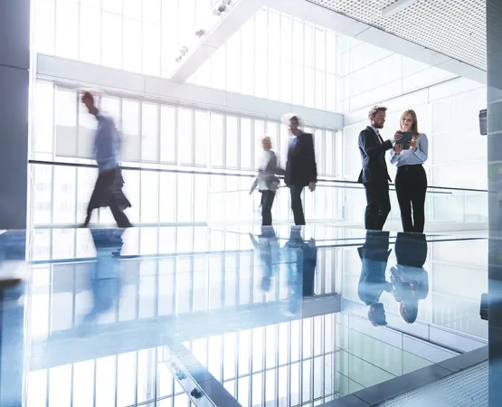 Governance framework CIFI