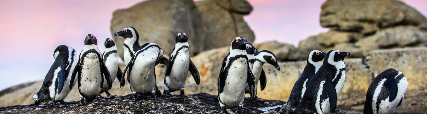 Climate Change Content