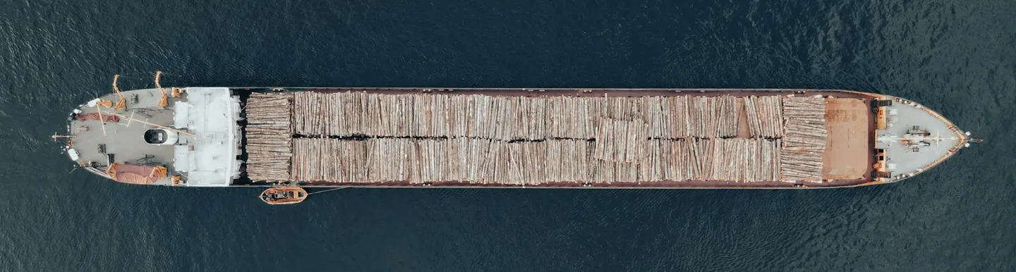 Services content CIFI