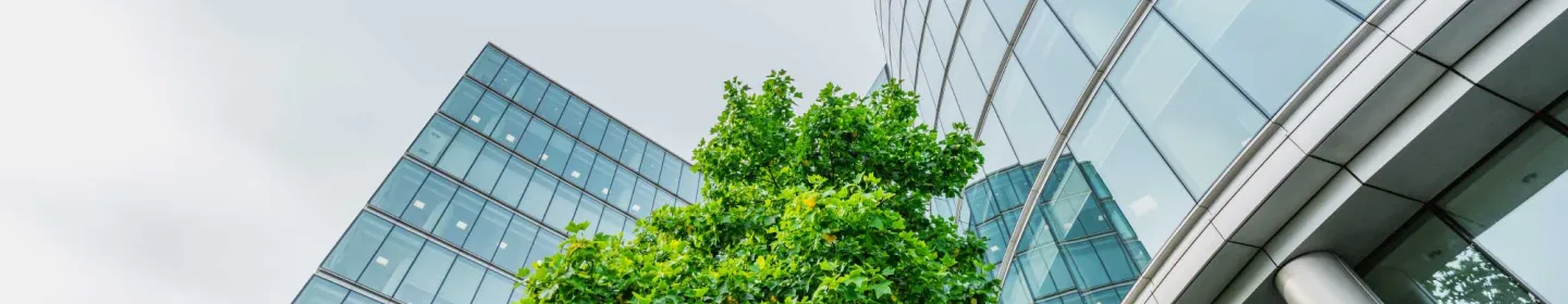 Executive team banner