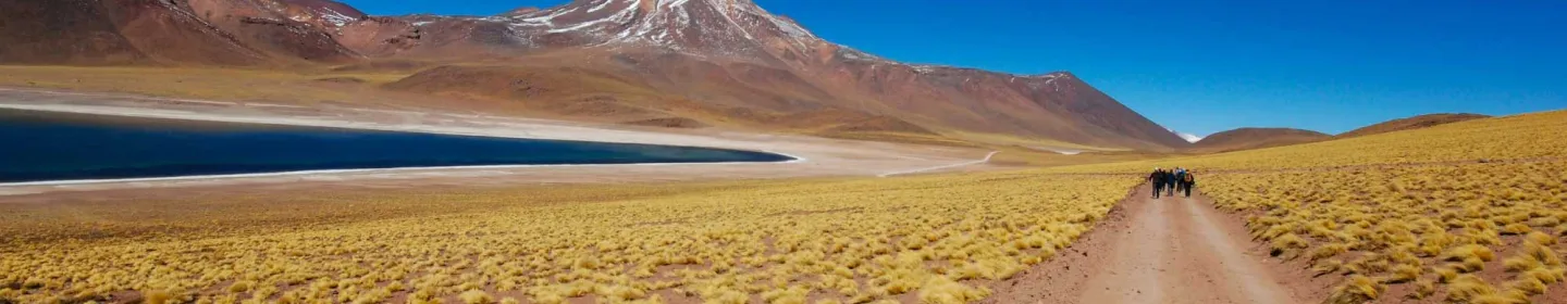 Governing Bodies CIFI