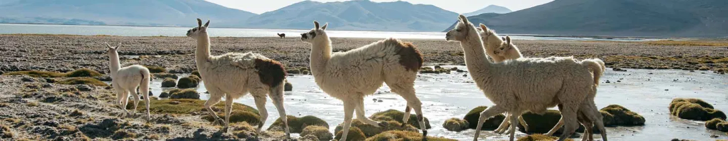 Eligibility Criteria banner