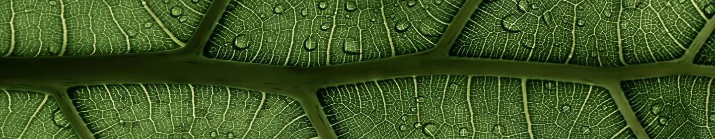 Credit Approval Process