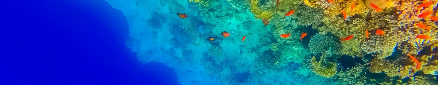 Governance and Policies Banner