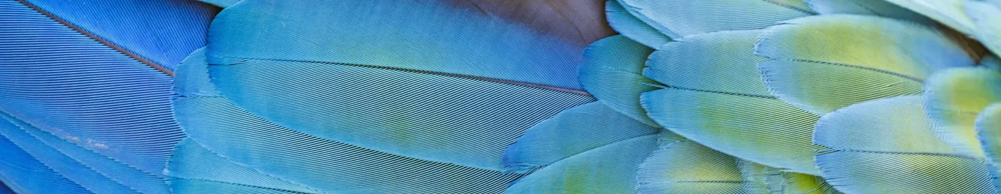 Climate Change Banner