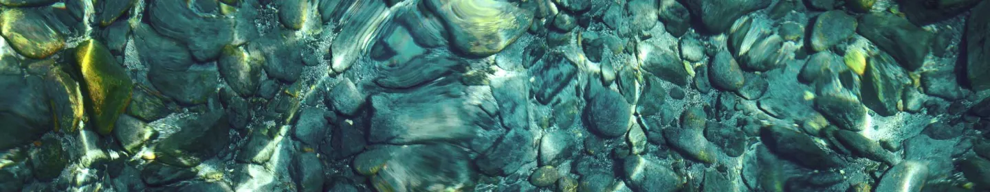 Credit Ratings Banner