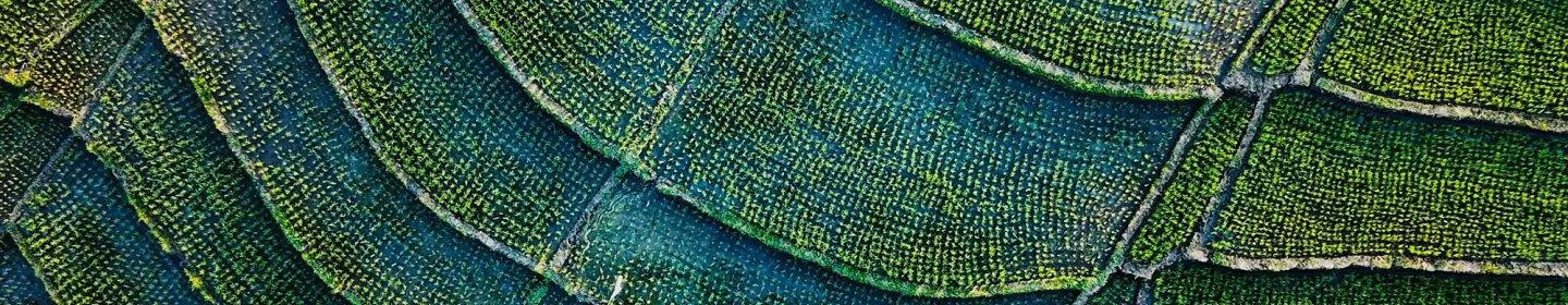 Regulatory disclosures