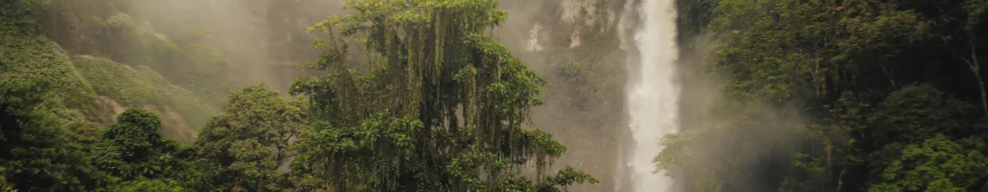 Cookies policy Banner