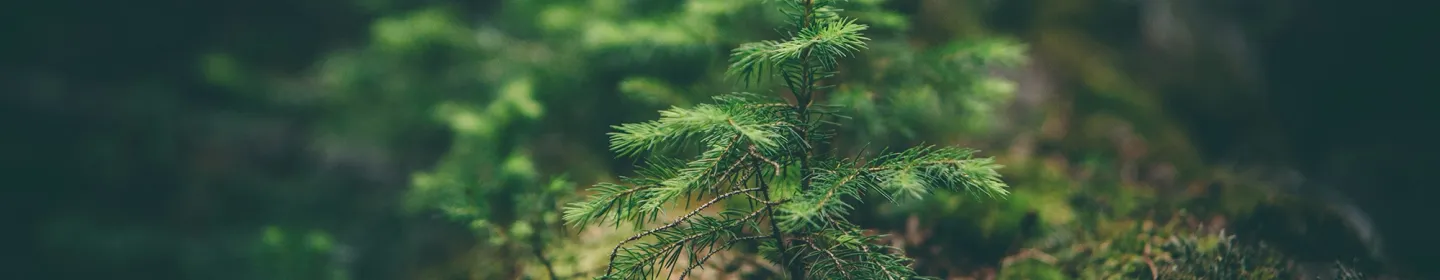 Data Protection Policy Banner