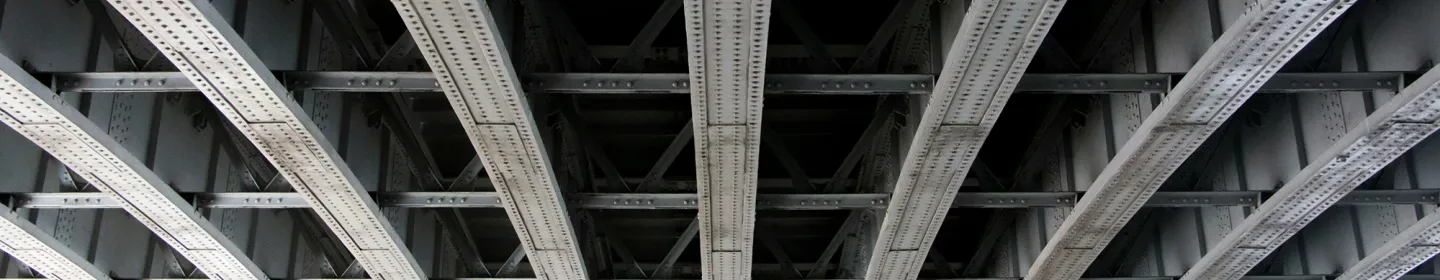 Services Banner CIFI