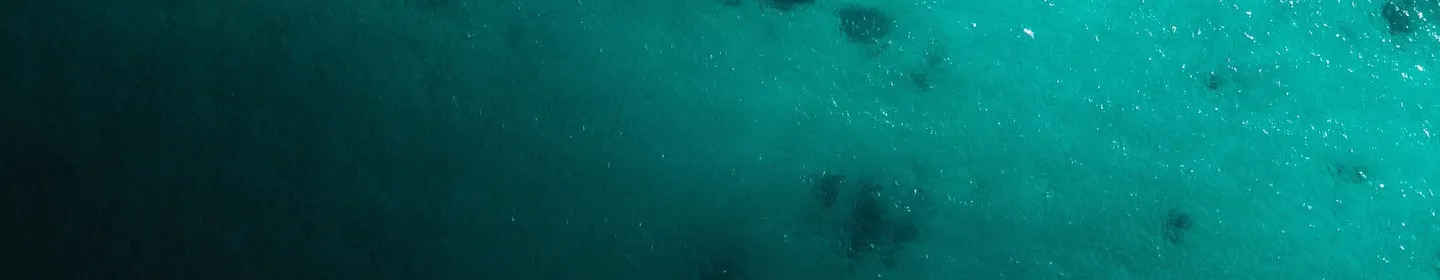 Success stories Banner