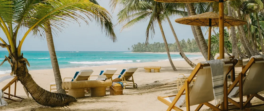 Four Seasons Tropicalia