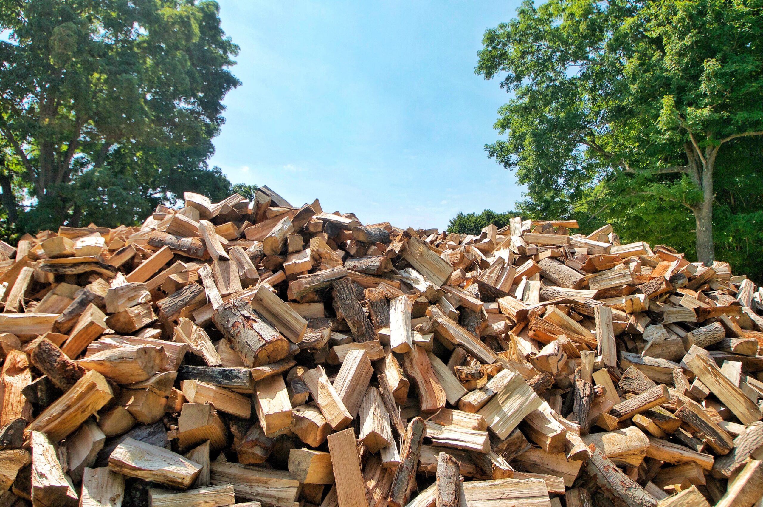 CIFI structures loan of up to US$ 32.5MM for wood pellet mill in Chile